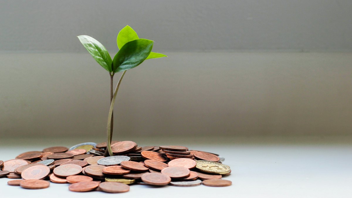 Green seedling growing from a pile of coins